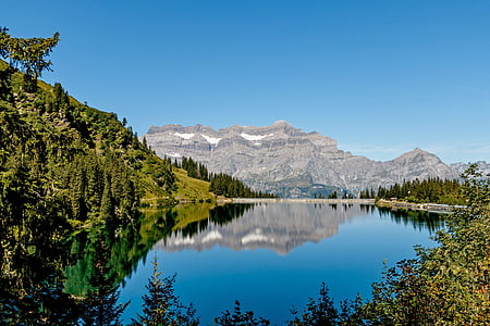 green forest beside lake and mountain thumbnail