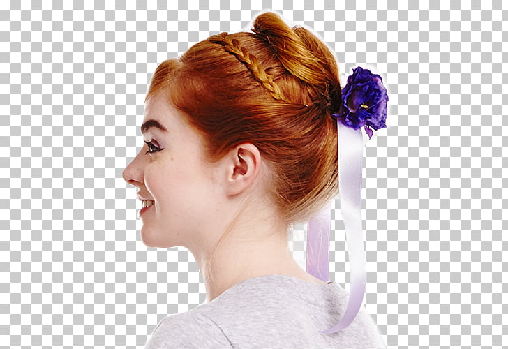 Elsa Anna Frozen Bun Hair Tie Elsa Png Clipart Free Cliparts