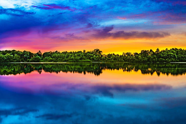 photo of trees covered ground reflecting on body of water
