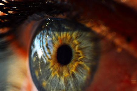 macro photography of person's eye thumbnail