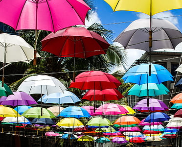 assorted color of umbrella thumbnail