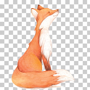 Watercolor painting Fox , Watercolor Fox, fox illustration PNG clipart