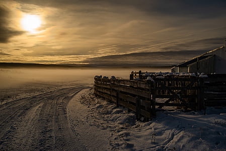 Brown Wooden Fence thumbnail