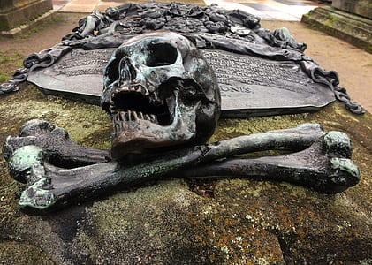human skull and bones on rock thumbnail