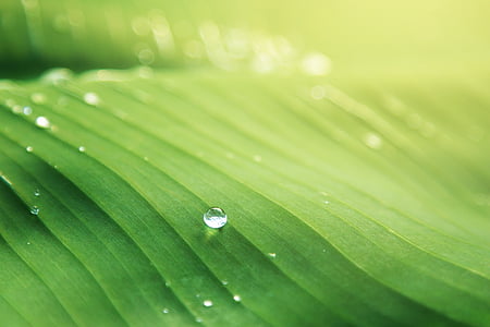 green and white plastic container thumbnail