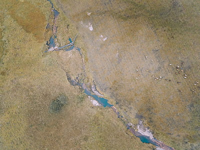 aerial photo of river thumbnail