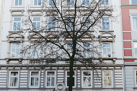 Tree and facade thumbnail