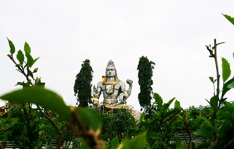 Statue on Other Side of Green Trees thumbnail