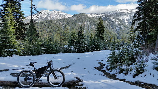 black bicycle parked near snow covered trunk thumbnail