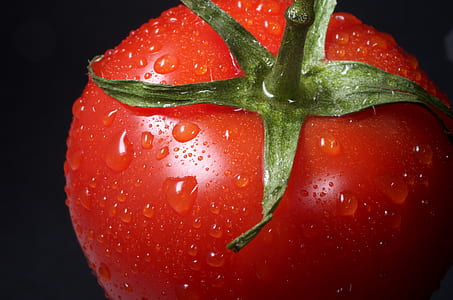 closeup photo of red tomato thumbnail