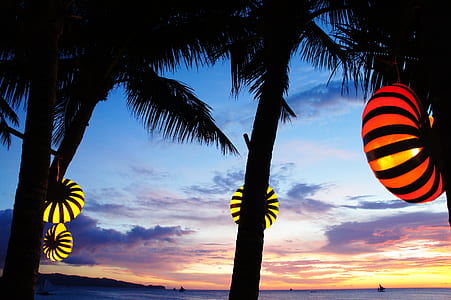 lanterns hang on coconut trees on the shore thumbnail