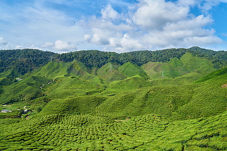 bird's eye view of green mountains under calm sky thumbnail