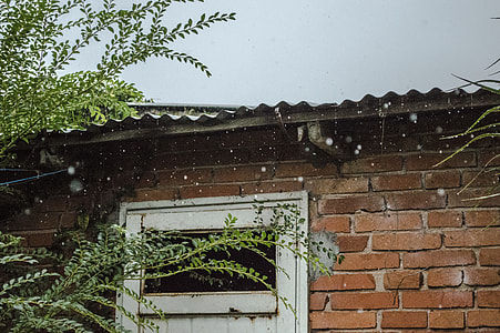 green leaf plants beside brown concrete house during rainy day thumbnail