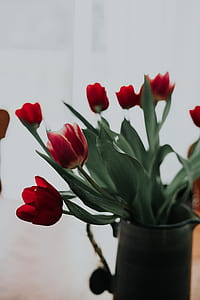 red tulips arrangement thumbnail