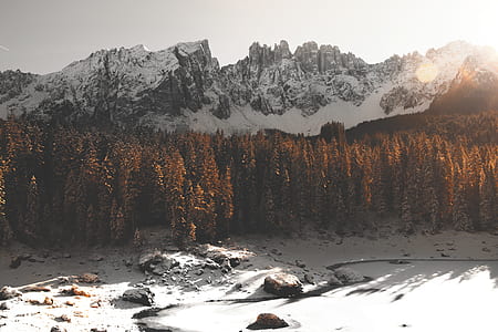 aerial view photo of brown trees under mountain thumbnail