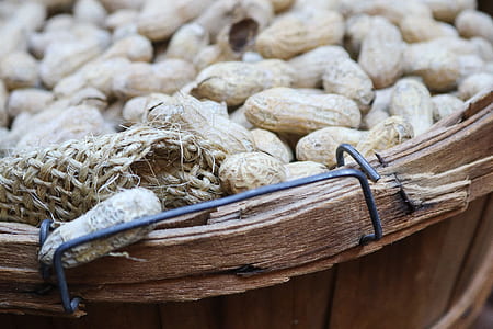 food, wood, dry, cooking thumbnail