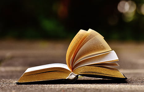 black covered book thumbnail