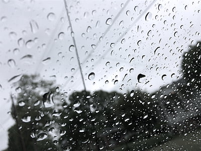 water dew on clear glass at daytime thumbnail