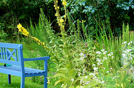 empty bench beside plants thumbnail
