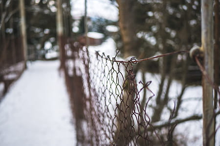 brown metal fence in shallow focus shot thumbnail