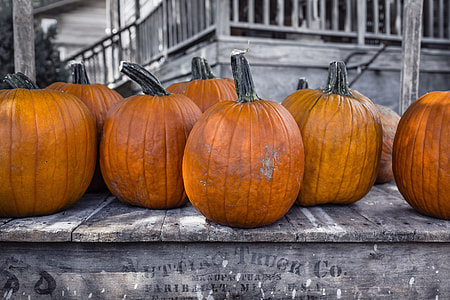selective color of pumpkin photo thumbnail