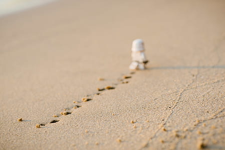 selective focus photography brown sand during daytime thumbnail