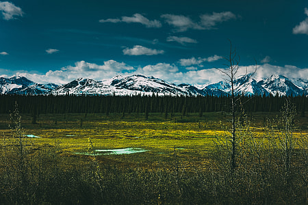 Landscape shot with snow-capped mountains captured at Denali National Park in Alaska thumbnail