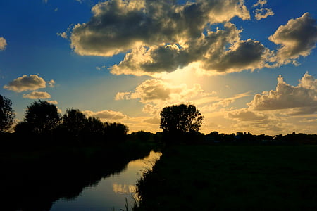 silhouette of gras under yellow sky thumbnail