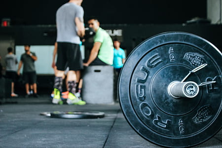 10 Lb Rogue Weight Plate Near People Gathered thumbnail
