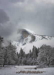 snow covered trees and mountain thumbnail