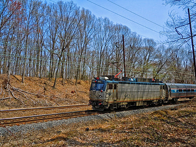 gray train surrounded by treees thumbnail