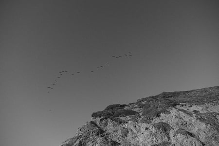 grayscale photography of flying birds above mountain range thumbnail