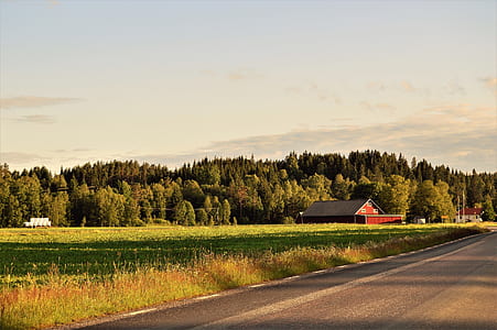 road, landscape, nature, sky thumbnail