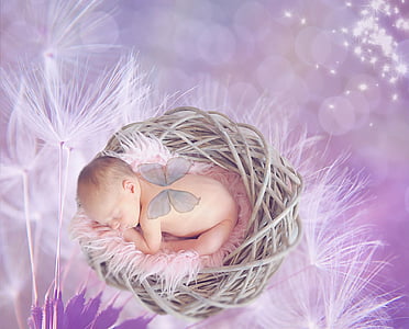 baby on wicker nest thumbnail