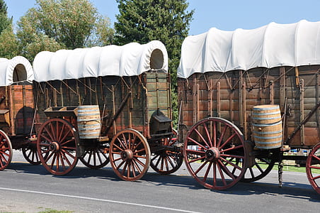 brown and white wagon thumbnail