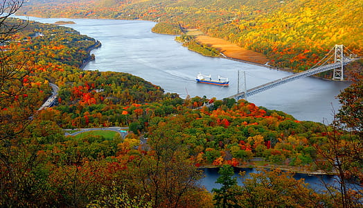 blue and brown ship on body of water beside tension bridge thumbnail