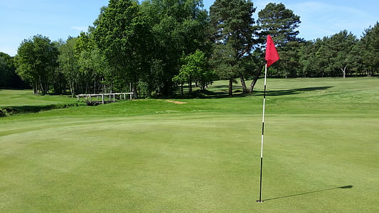 flag pole near tree during daytime thumbnail