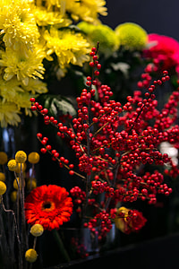 Red rowan with a colourful arrangement of flowers thumbnail