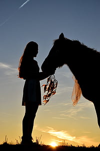 silhouette of woman standing in front of horse thumbnail