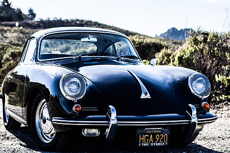 classic car near plants thumbnail