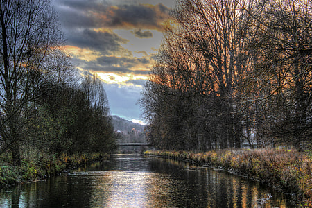 withered trees in between body of water thumbnail