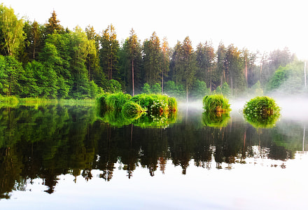 lake during daytime thumbnail