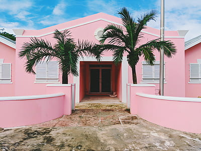 pink storey house with palm trees thumbnail