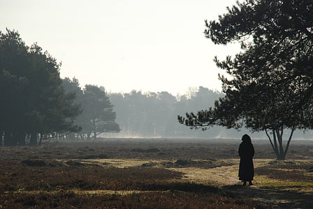 silhouette of person standing on barren field at foggy day thumbnail