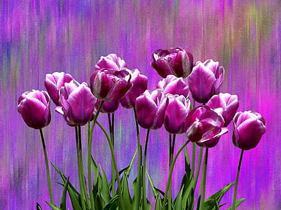 pink tulip flowers painting thumbnail