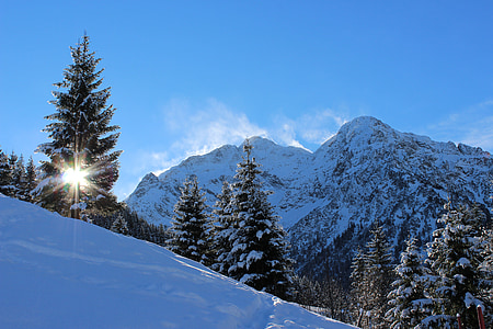 snow covered mountain with trees during daytime thumbnail