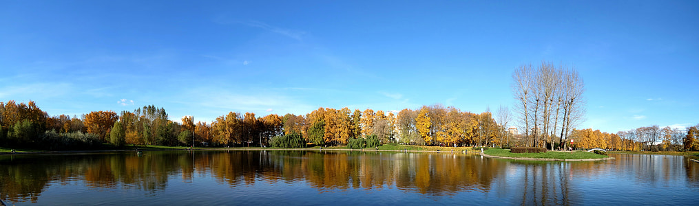trees near body of water thumbnail