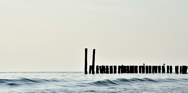 photo of seashore thumbnail