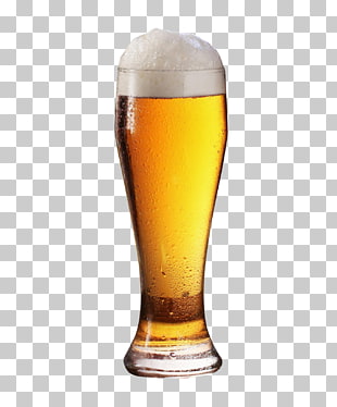 Beer glassware, Beer Glass, pilsner glass filled with beer PNG clipart