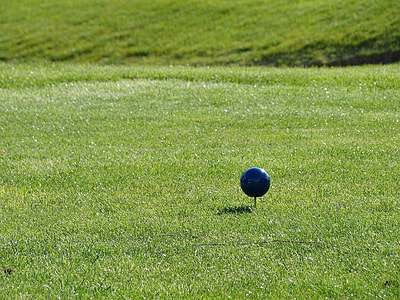green grass lawn thumbnail